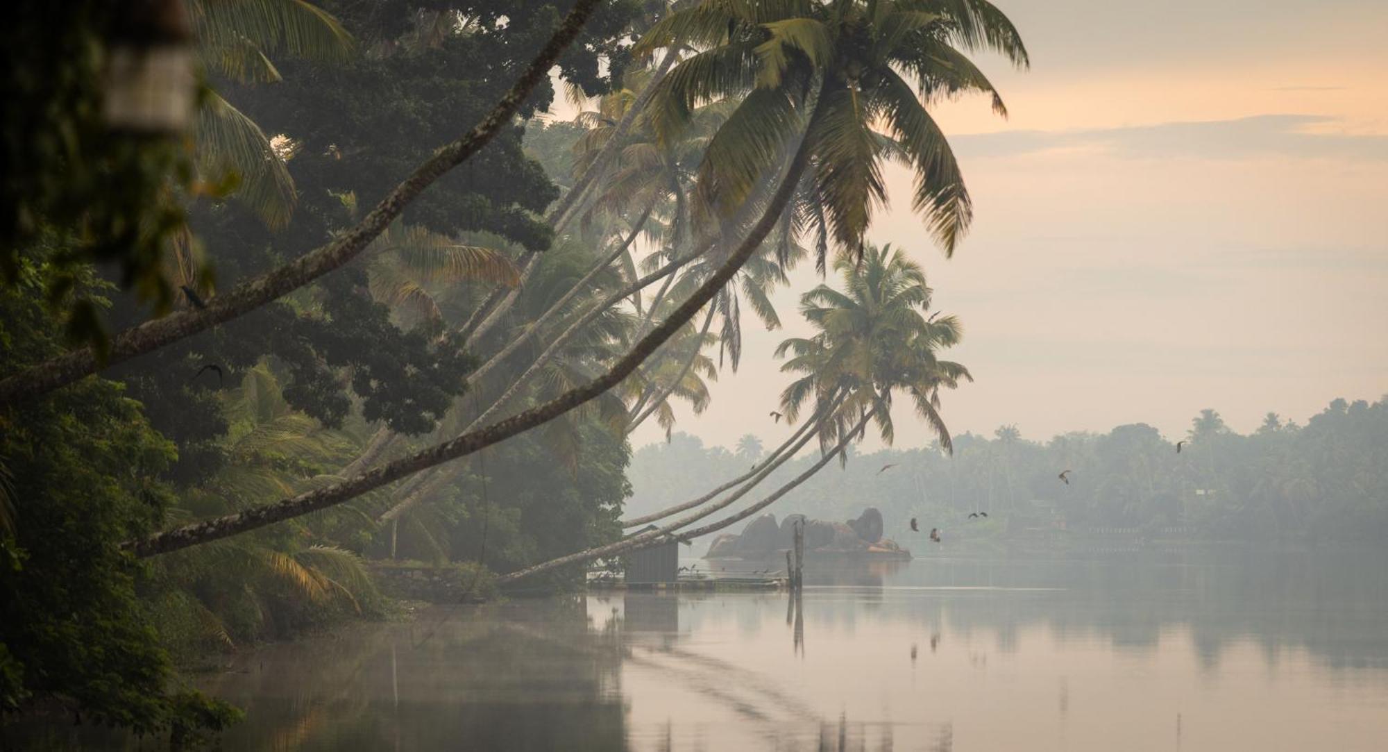 Cranganor History Café&Riverside Château North Paravur Exterior foto